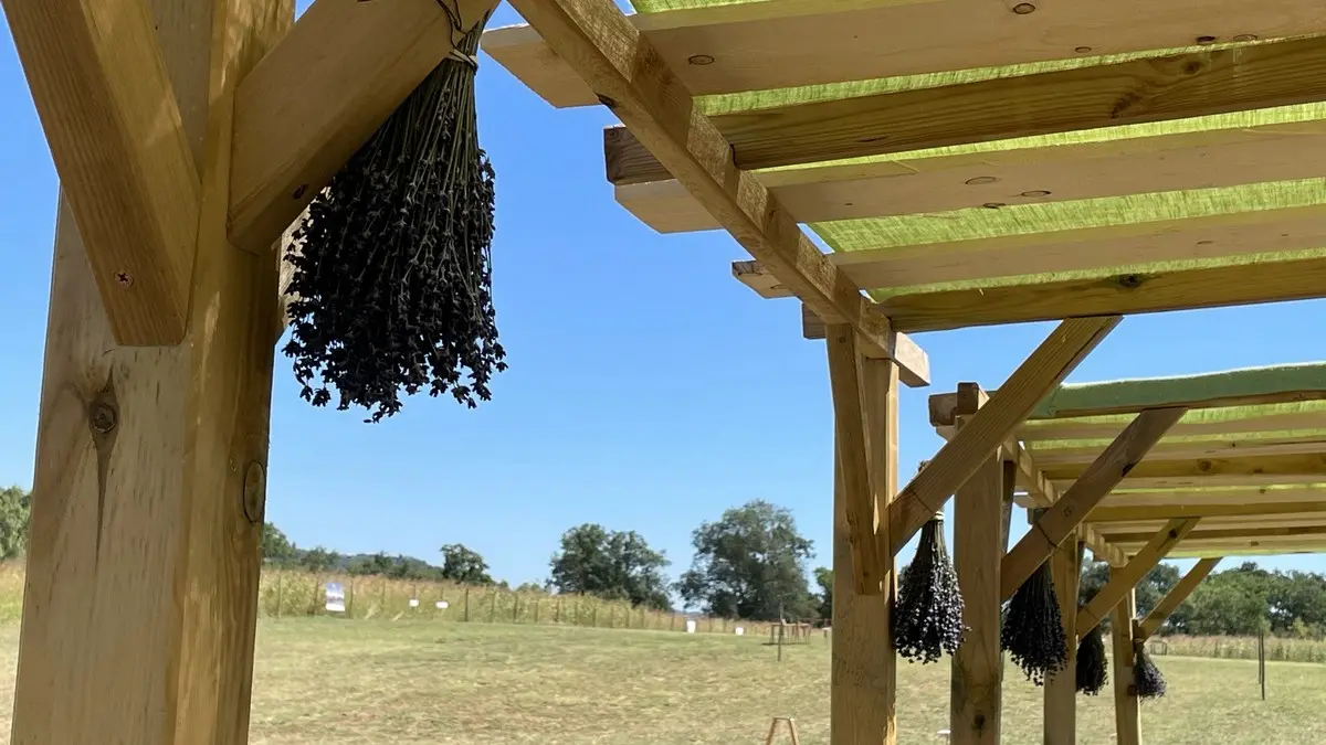 Saint André la Tuilerie