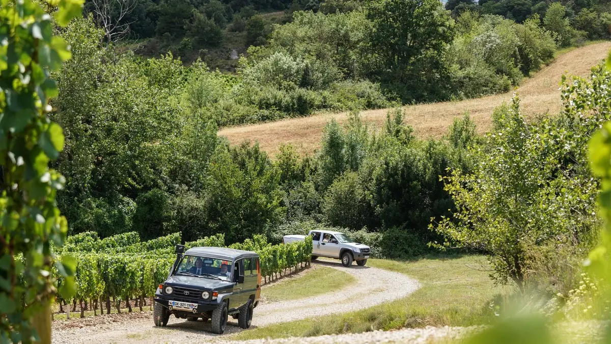 DOMAINE DEBARONARQUES