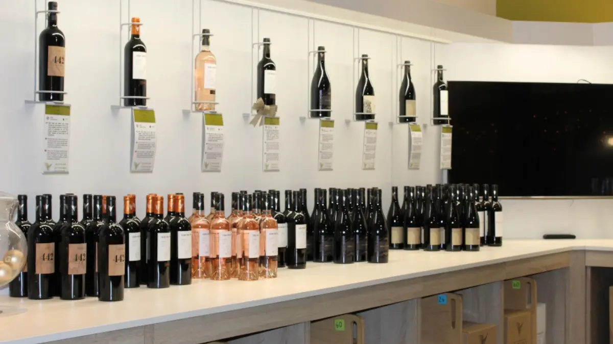 LES VIGNOBLES VENDEOLES