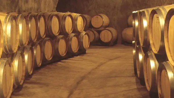 CAVES DU SIEUR D'ARQUES