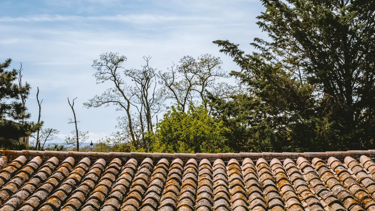 CEPIE - D'une maison à l'autre - MAISON (3)