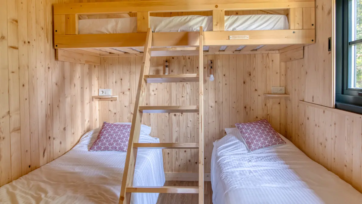 Cabane dans les bois Dame du Château 3