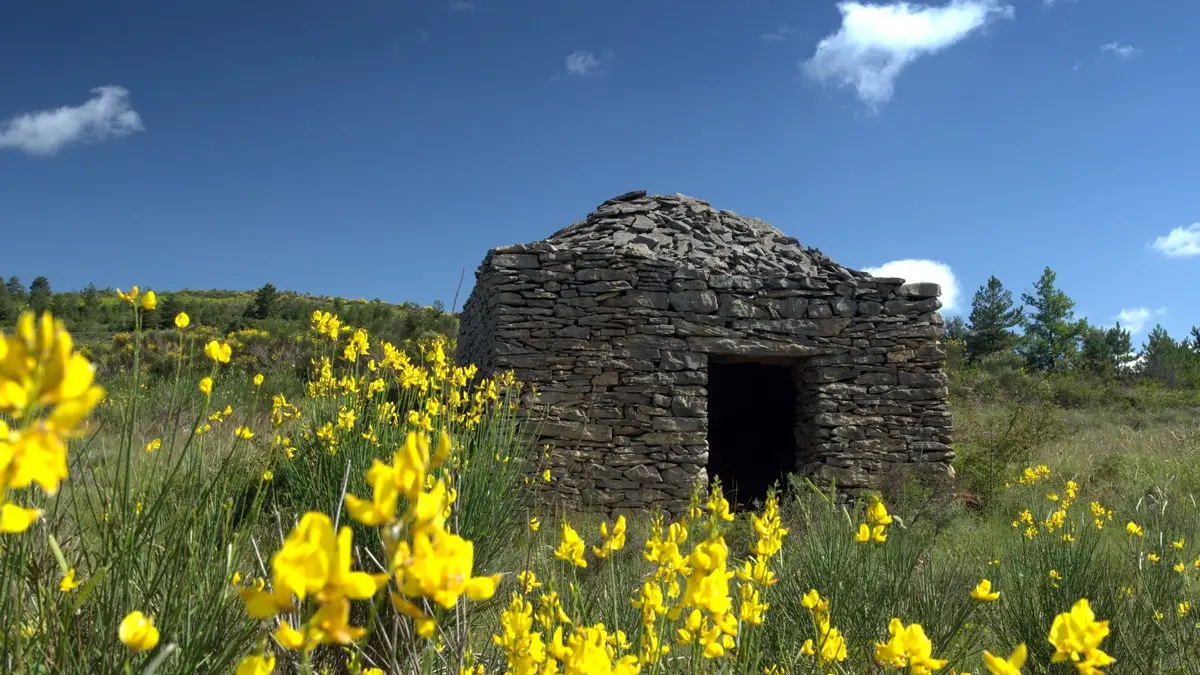 Capitelles paysage_Coustaussa