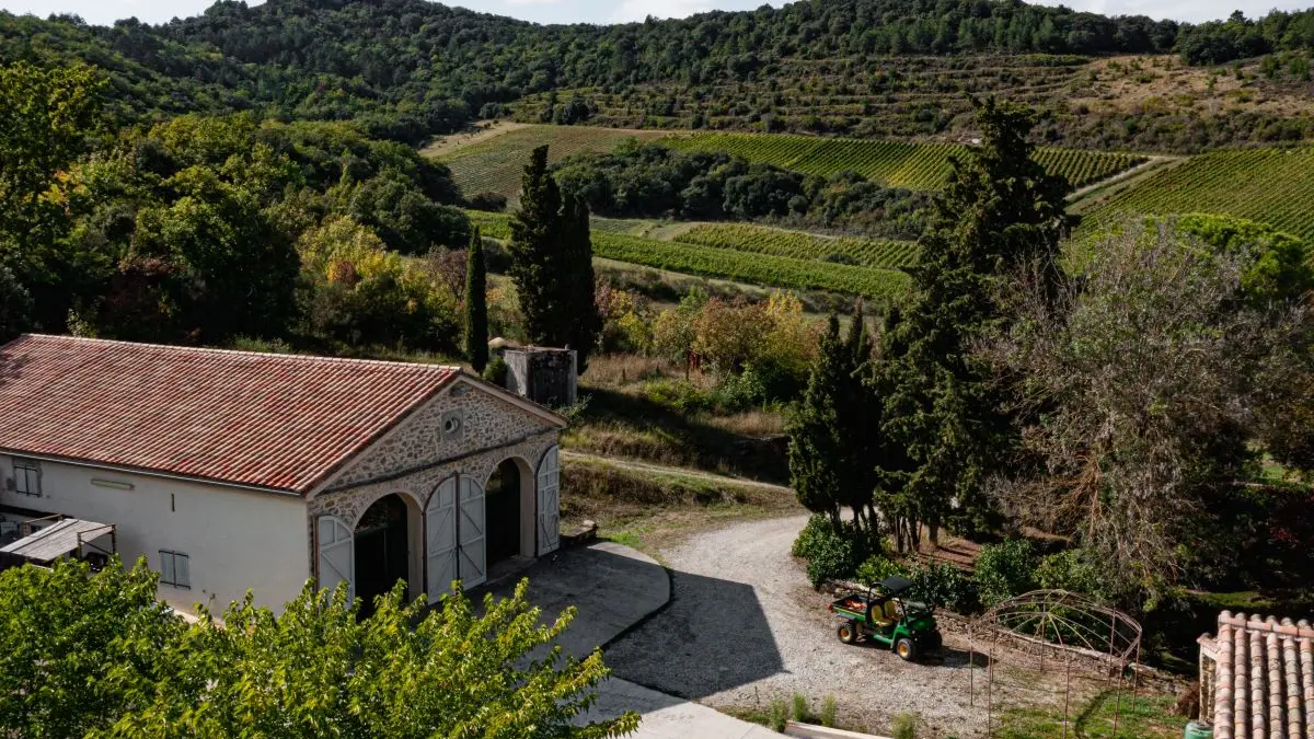 Cave dans le domaine La Martine