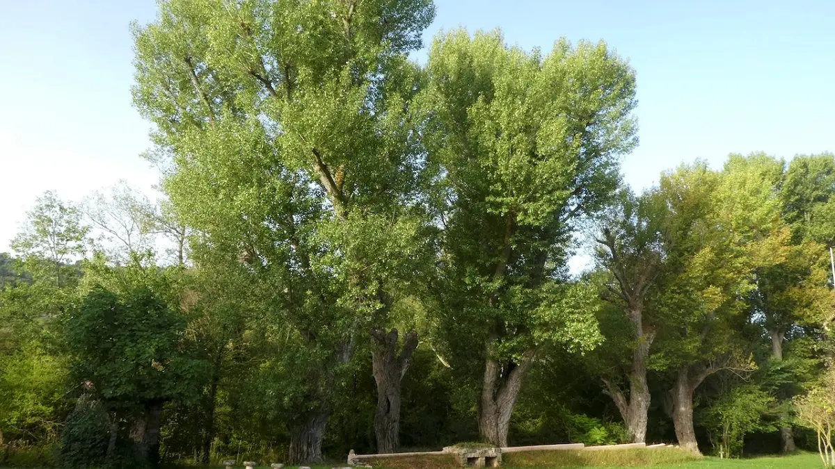 Centre Les Labadous -Le calme au parc près du Ruisseau de Couleurs