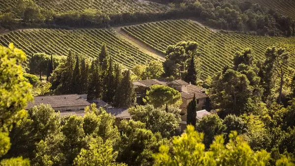 DOMAINE DE MARTINOLLES