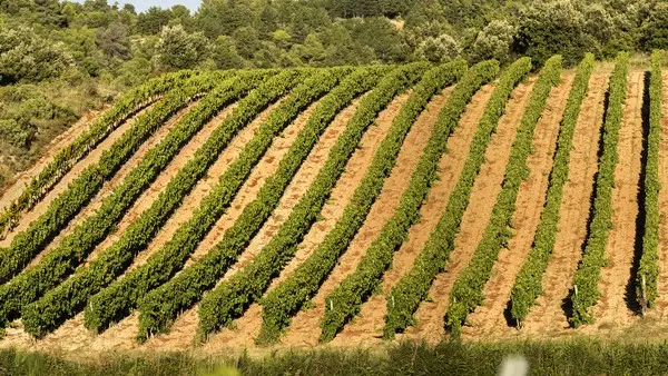 DOMAINE DE MARTINOLLES