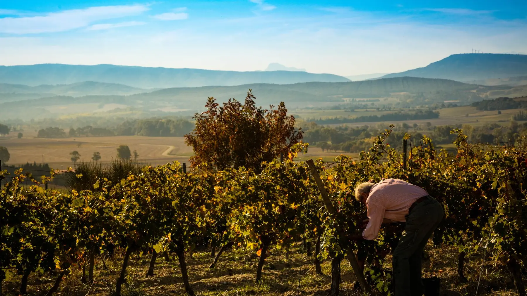Chateau Guilhem-Malvies_6