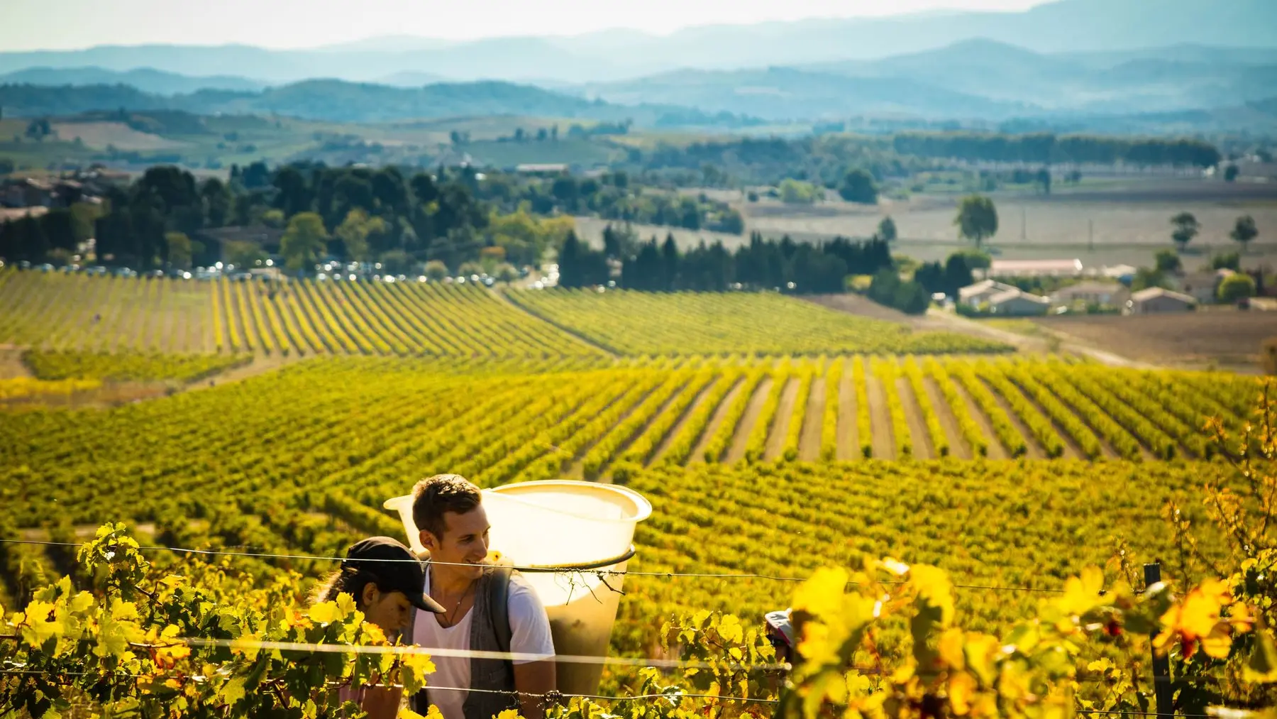 Chateau Guilhem-Malvies_9