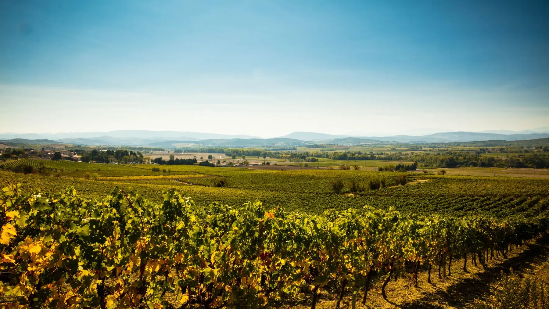 Chateau Guilhem-Malvies_11