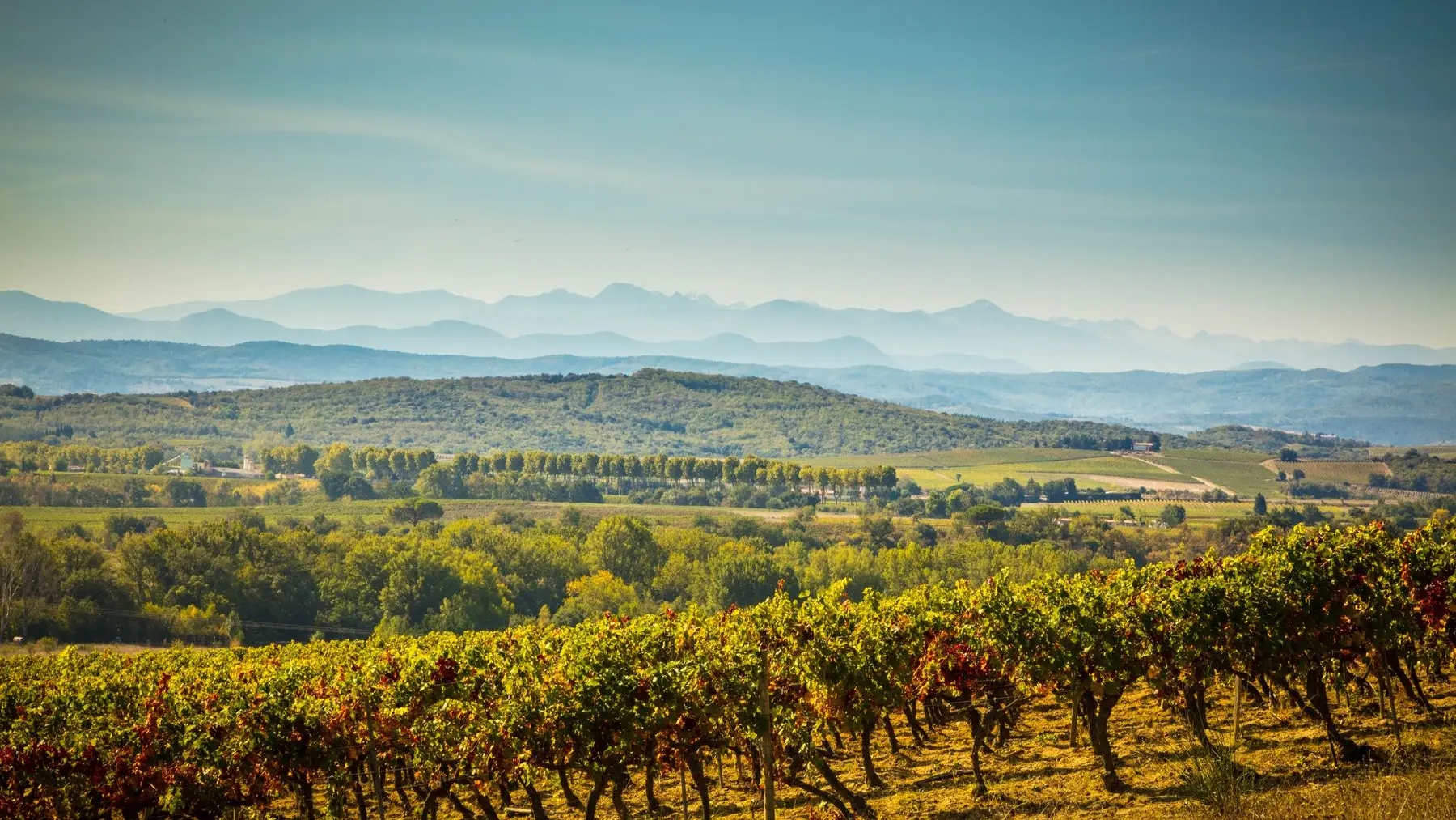 Chateau Guilhem-Malvies_12