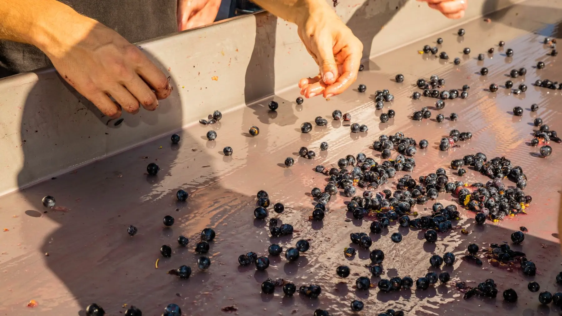 Chateau Guilhem-Malvies_13