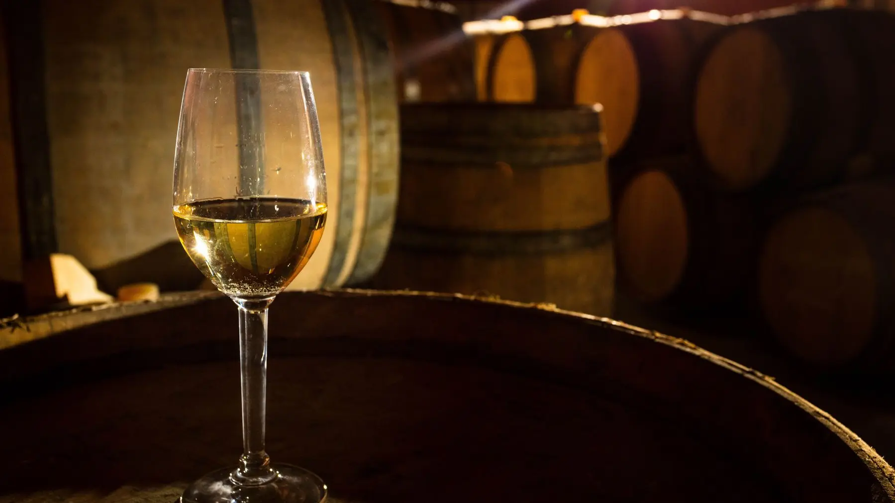 Chateau Rives Blanques-Cepie_14