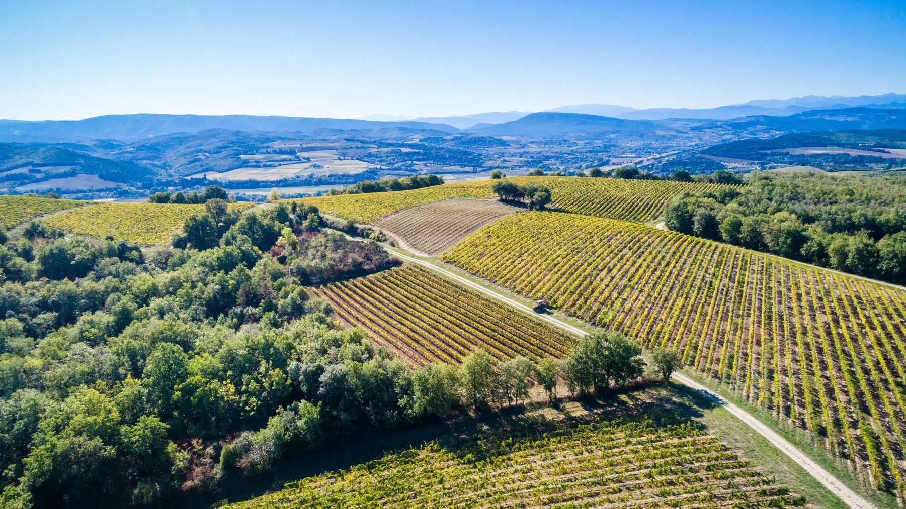 Chateau Rives Blanques-Cepie_1