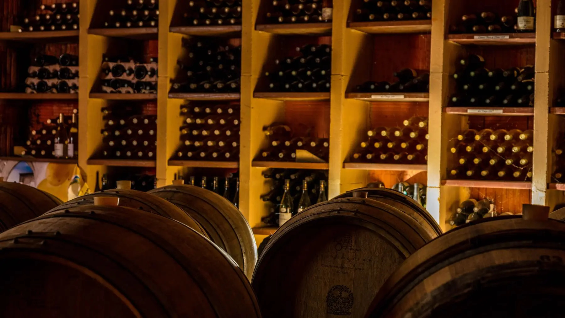 Chateau Rives Blanques-Cepie_11