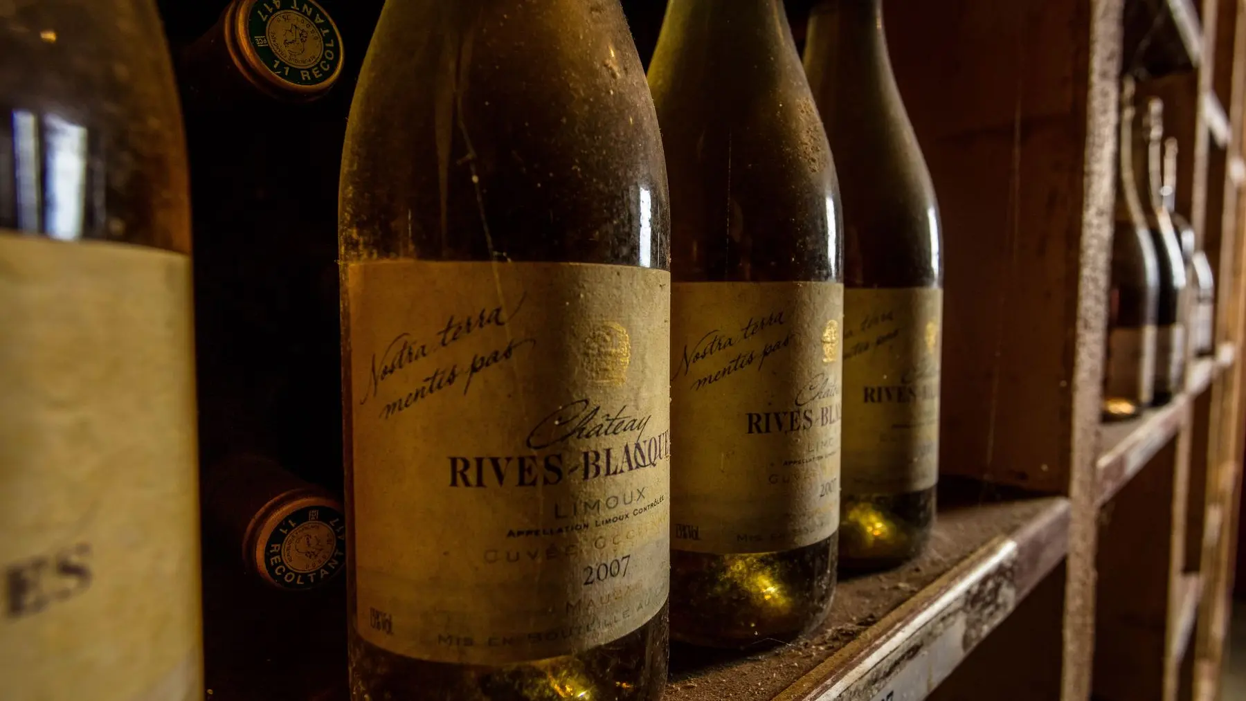 Chateau Rives Blanques-Cepie_13