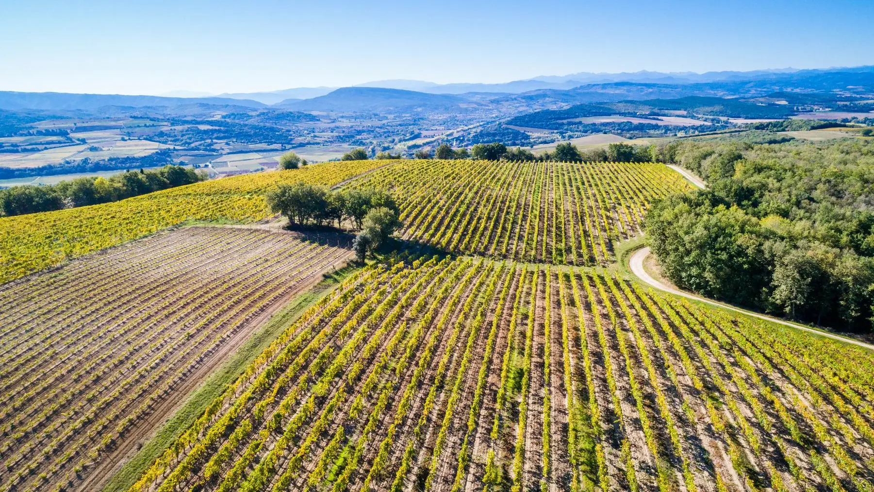 Chateau Rives Blanques-Cepie_2