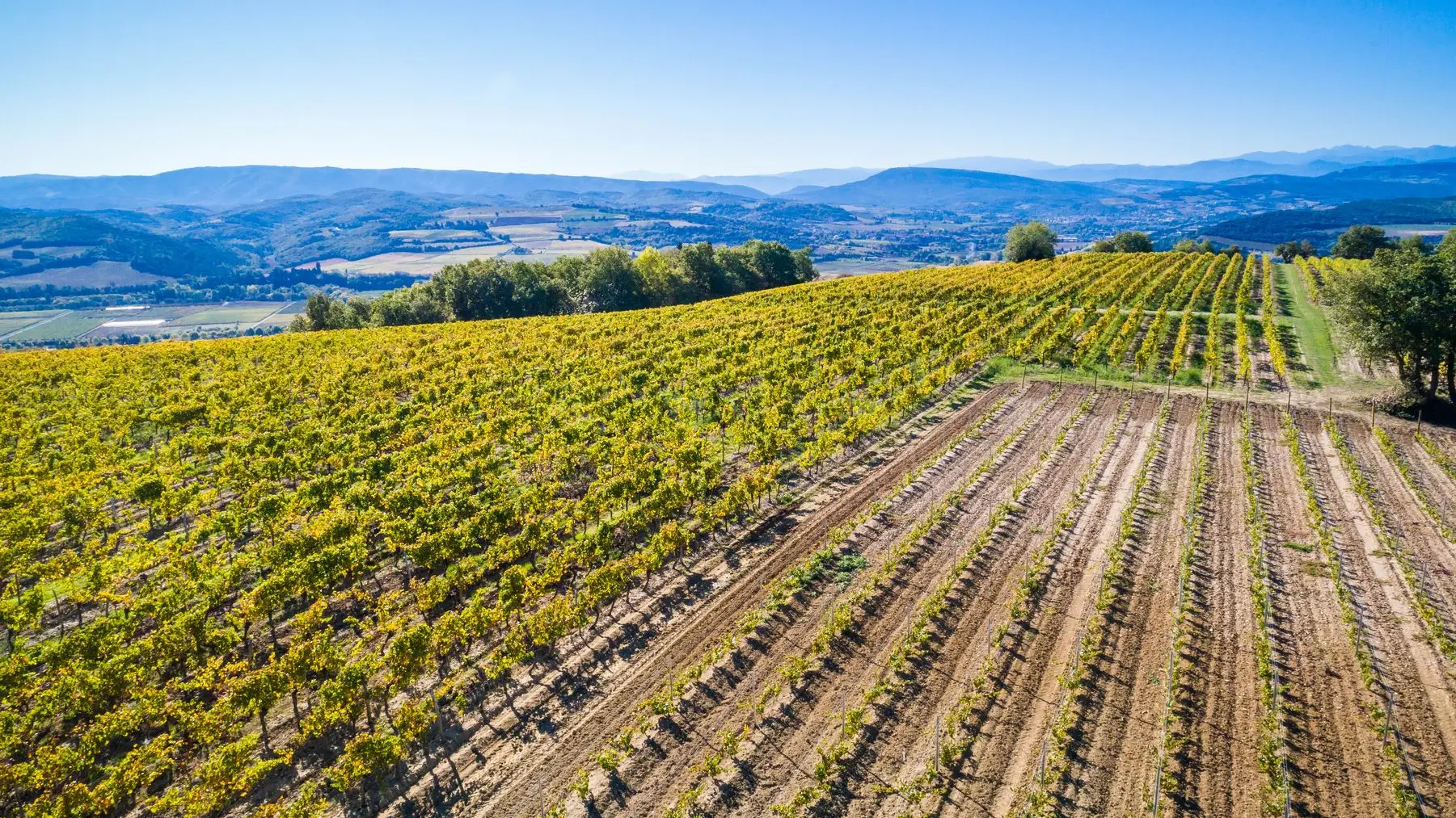 Chateau Rives Blanques-Cepie_3