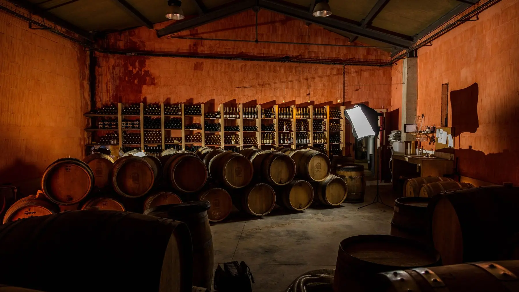 Chateau Rives Blanques-Cepie_8