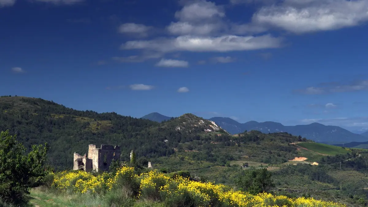 Château paysage_Coustaussa