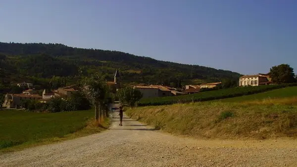 ENTRE LES VIGNES - GÎTE LE CHARDONNAY