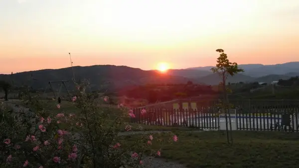 ENTRE LES VIGNES - GÎTE LE CHARDONNAY