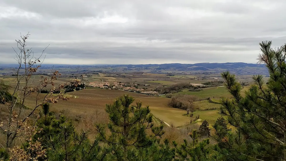 TERROIR MALEPERE - ALAIGNE