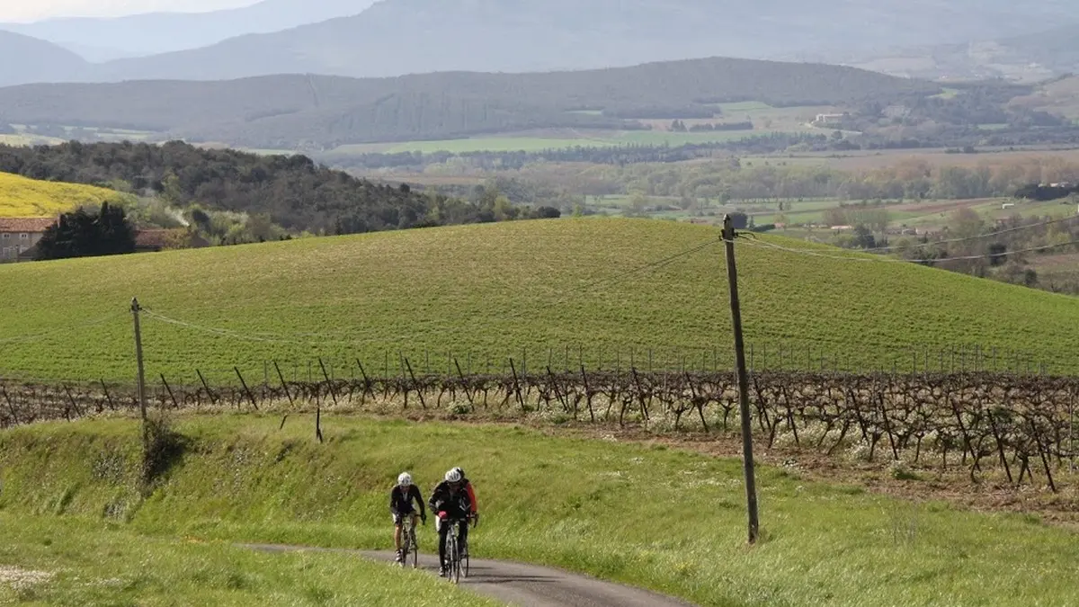 TERROIR MALEPERE - LIMOUXIN