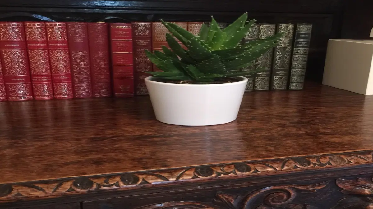 DECORATION - ECONOMY