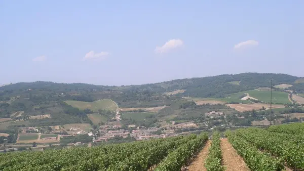 DOMAINE DE FOURN