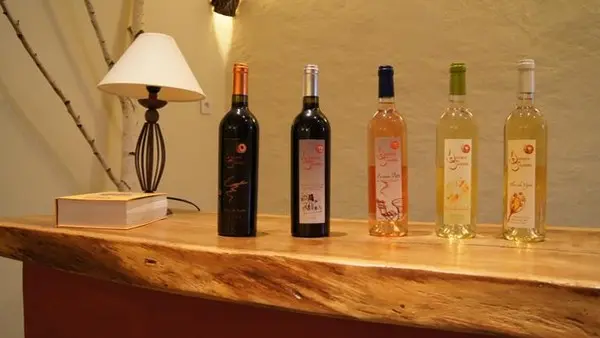 DOMAINE DES SOULEILLES