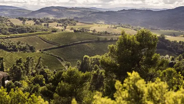 DOMAINE DE MARTINOLLES