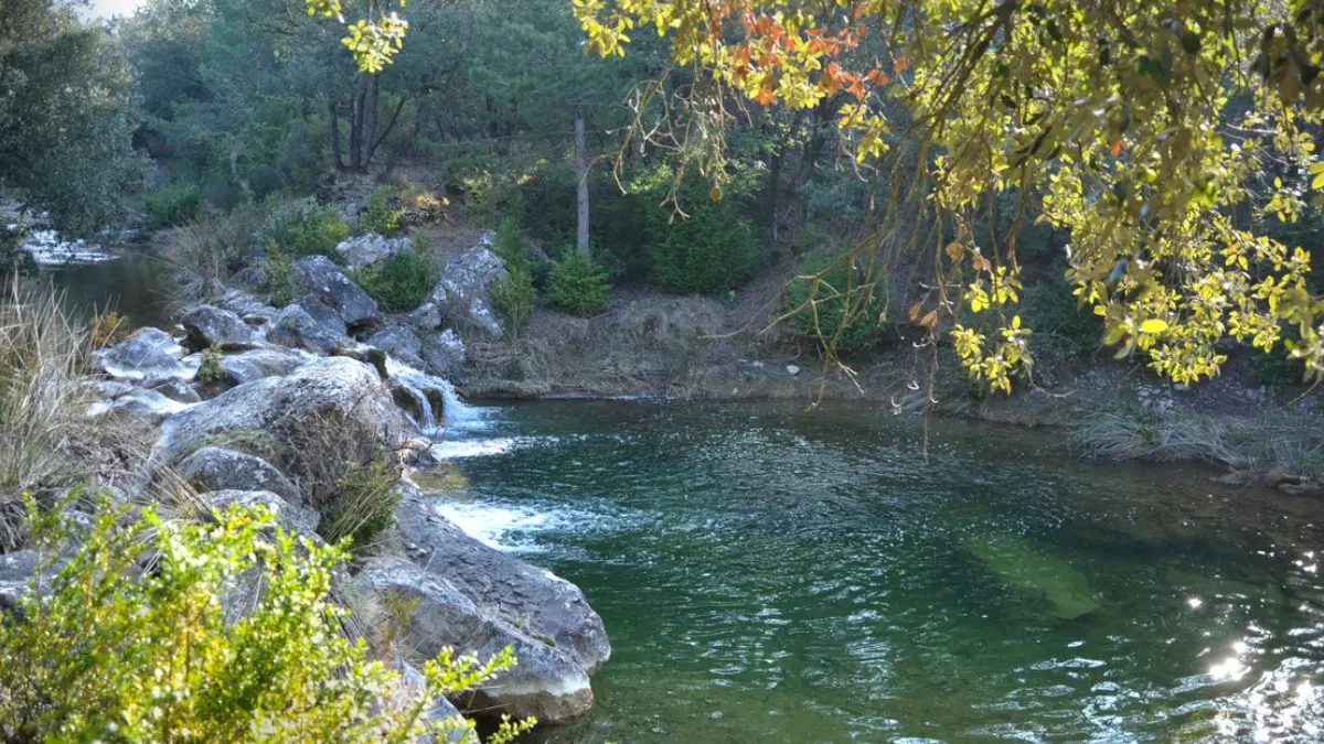 Domaine Saint-Andrieu (6)