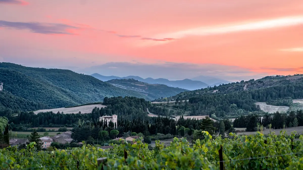 Domaine Therez Caruso