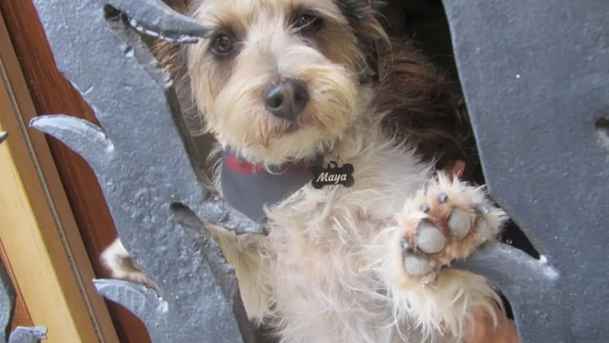 Escape game Alet-les-Bains