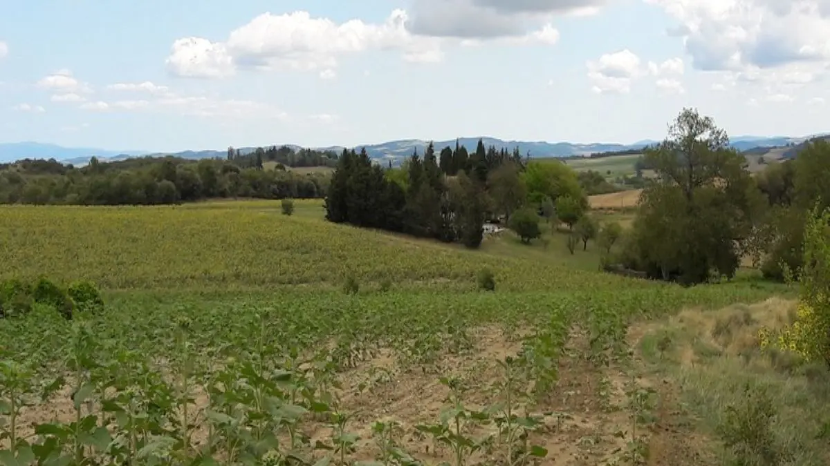 Esceuillens - LAFFONT - Gite du Mehnir vue de la campagne depuis les collines environnantes (2)