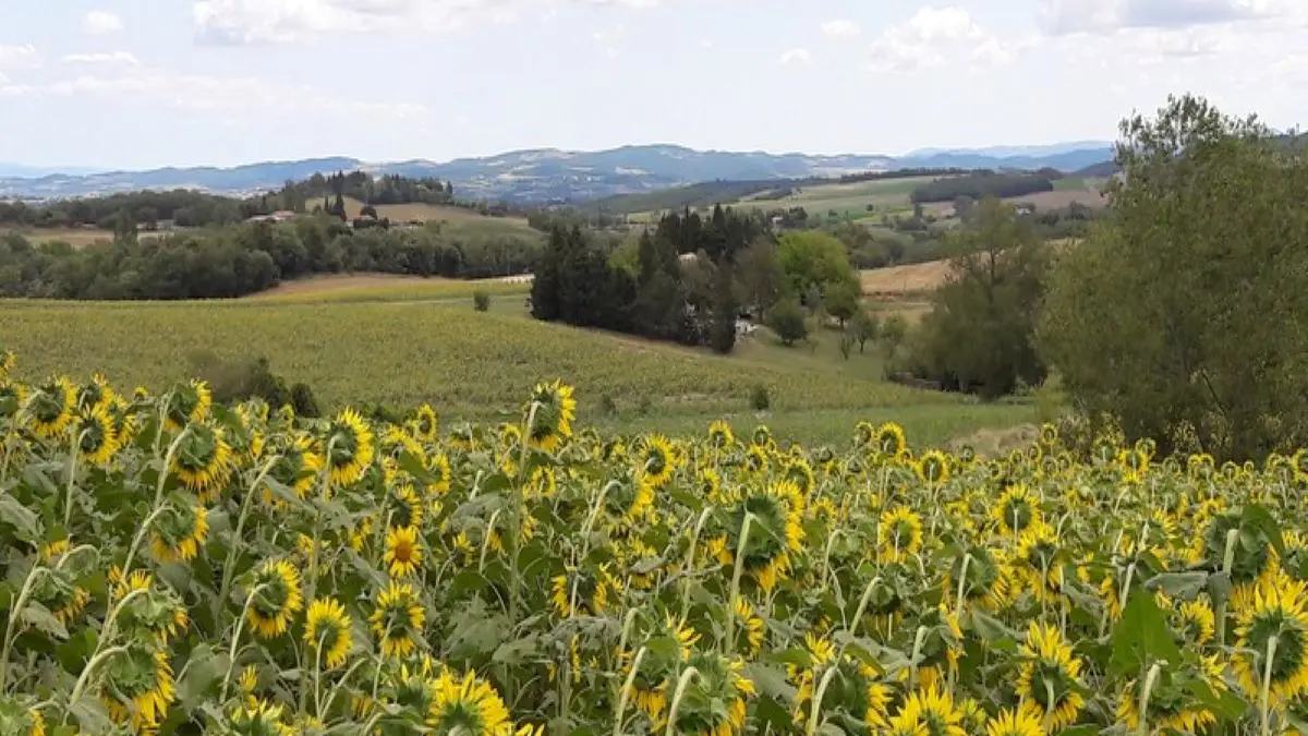 Esceuillens - LAFFONT - Gite du Mehnir vue de la campagne depuis les collines environnantes (3)