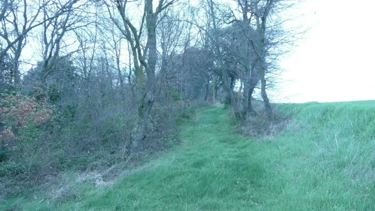 Esceuillens - LAFFONT - Gite du Mehnir autour du gîte (4)