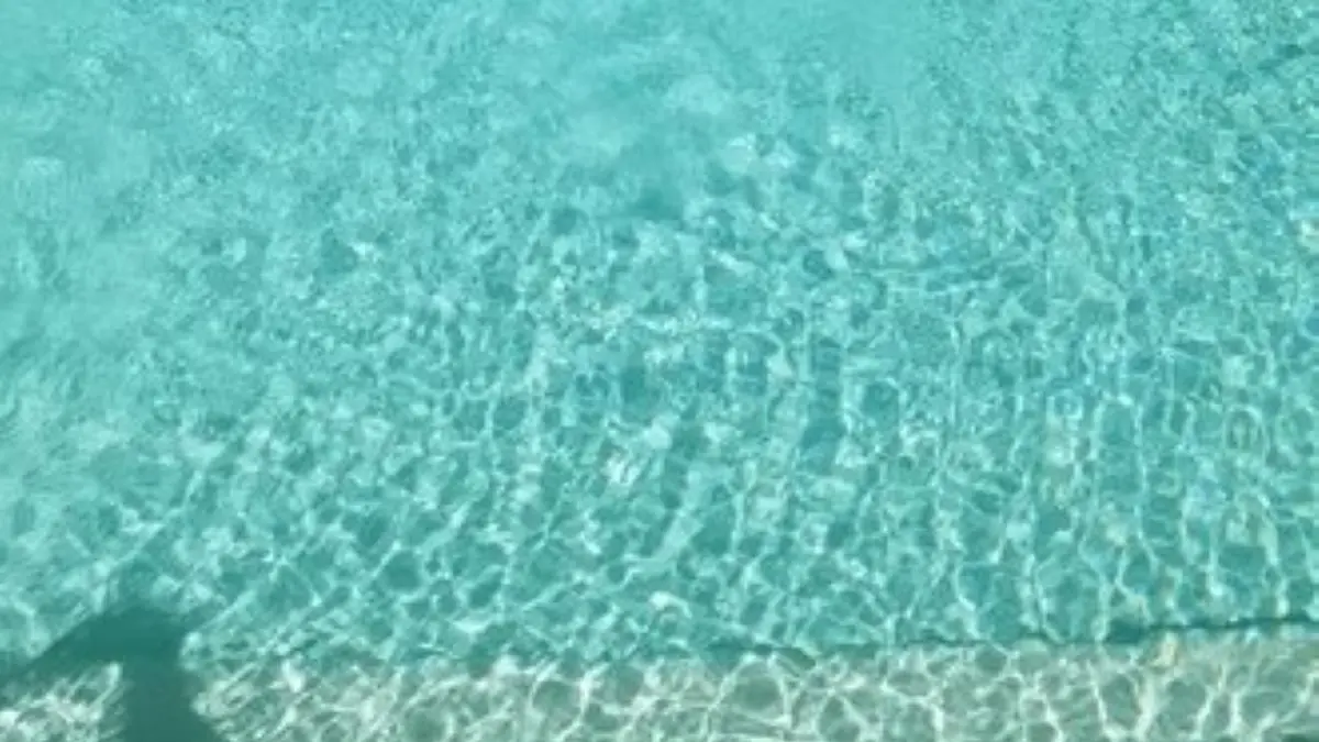 Esceuillens - LAFFONT - Gite du Mehnir piscine (10) HORIZONTAL