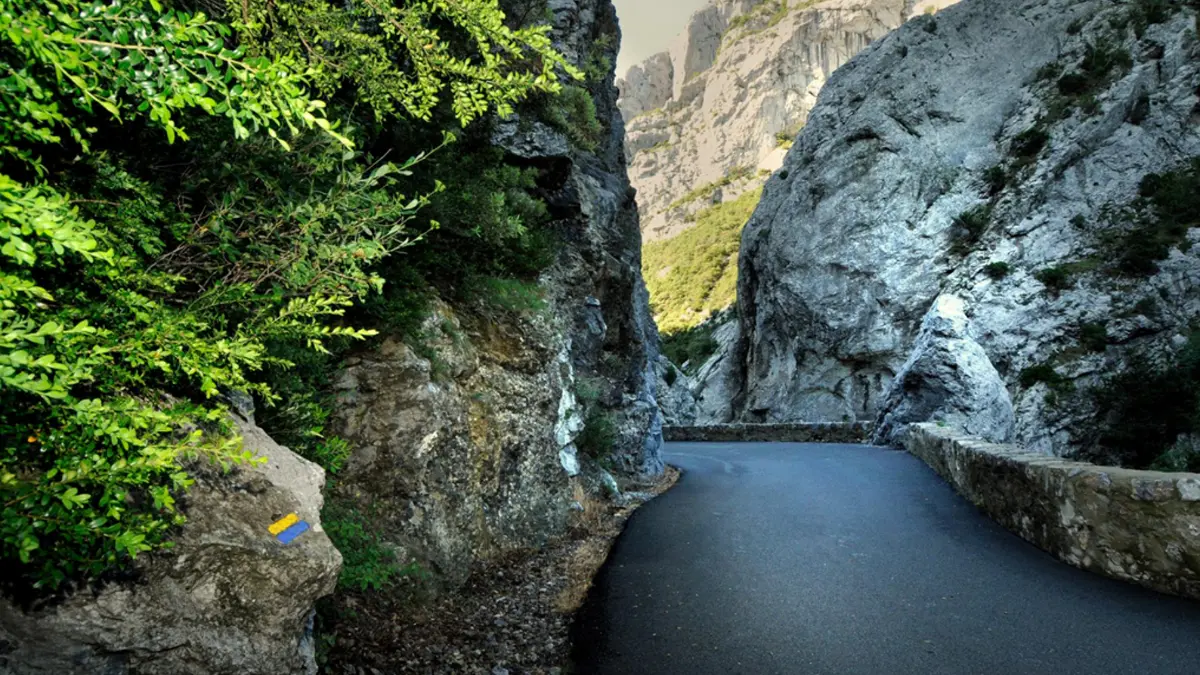 GORGES GALAMUS(1)
