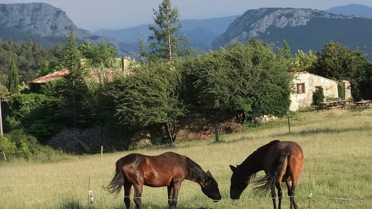 Gite Chevaux