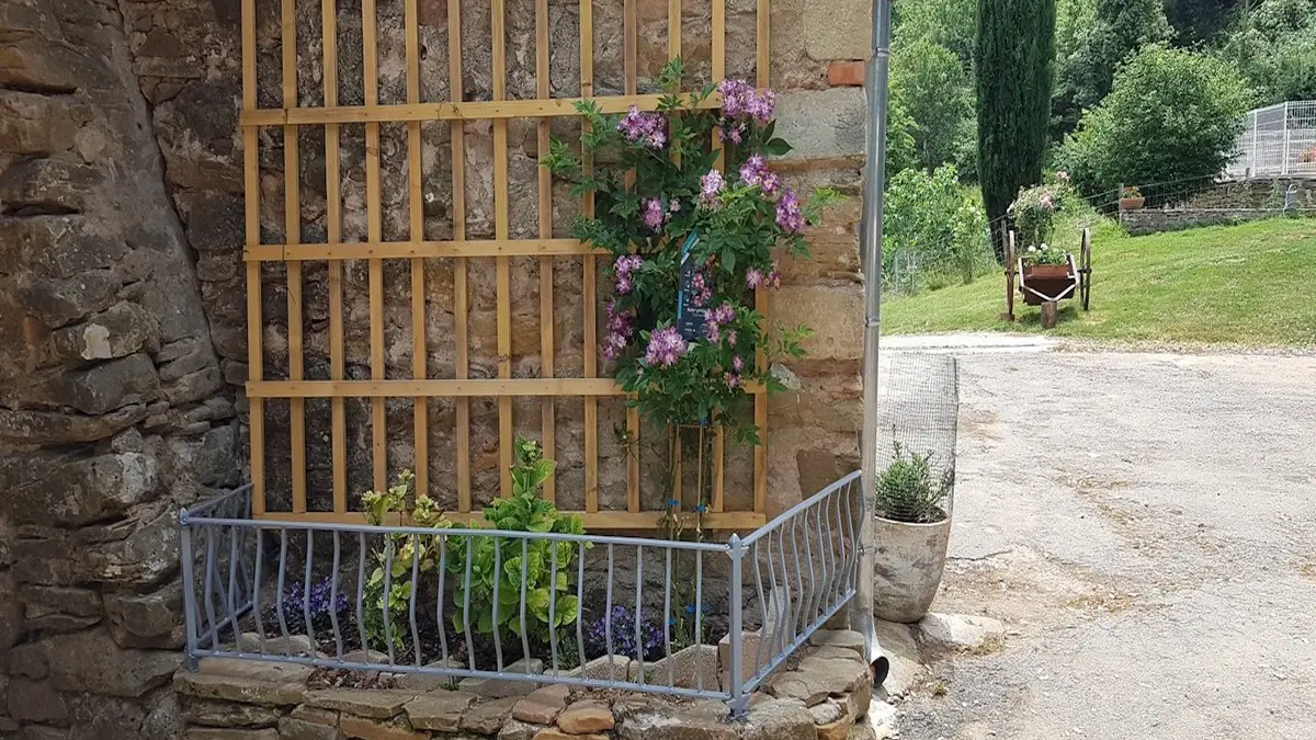 HLO - COUSTAUSSA - TOURNIER - Terrasse