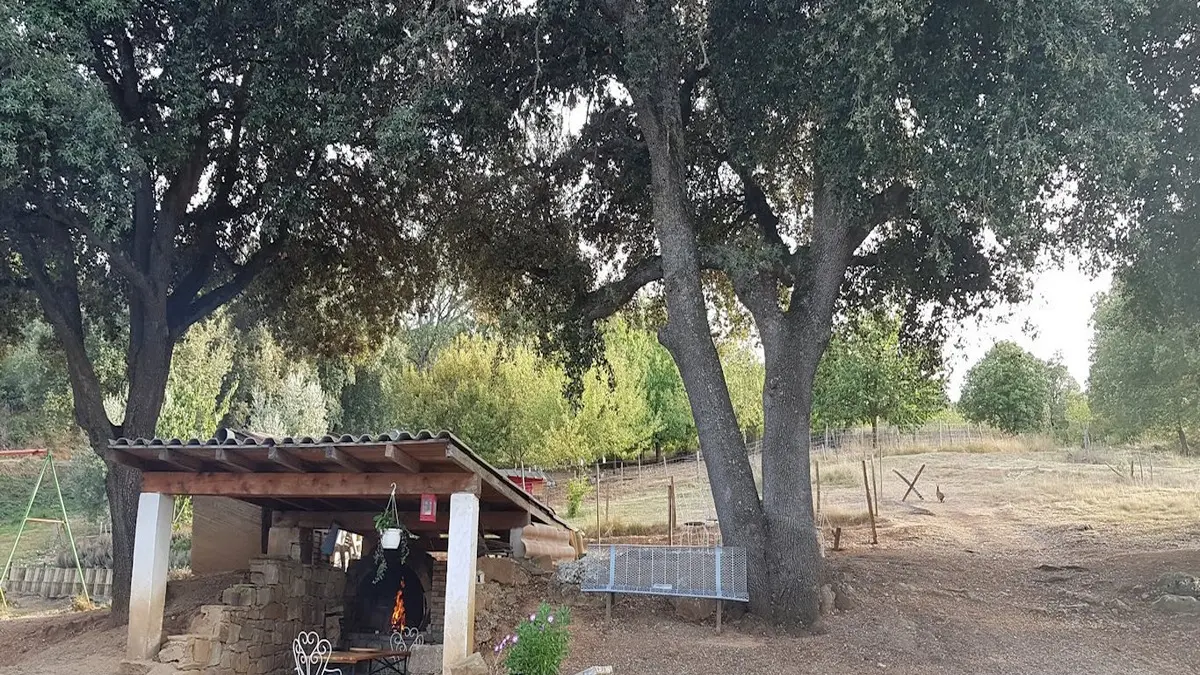 HLO - COUSTAUSSA - TOURNIER - barbecue