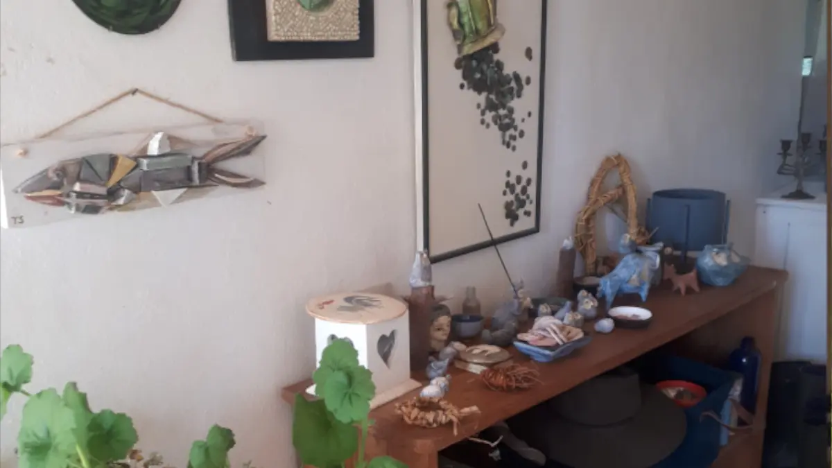 HLO - LIMOUX - CH Carliqui - entrée