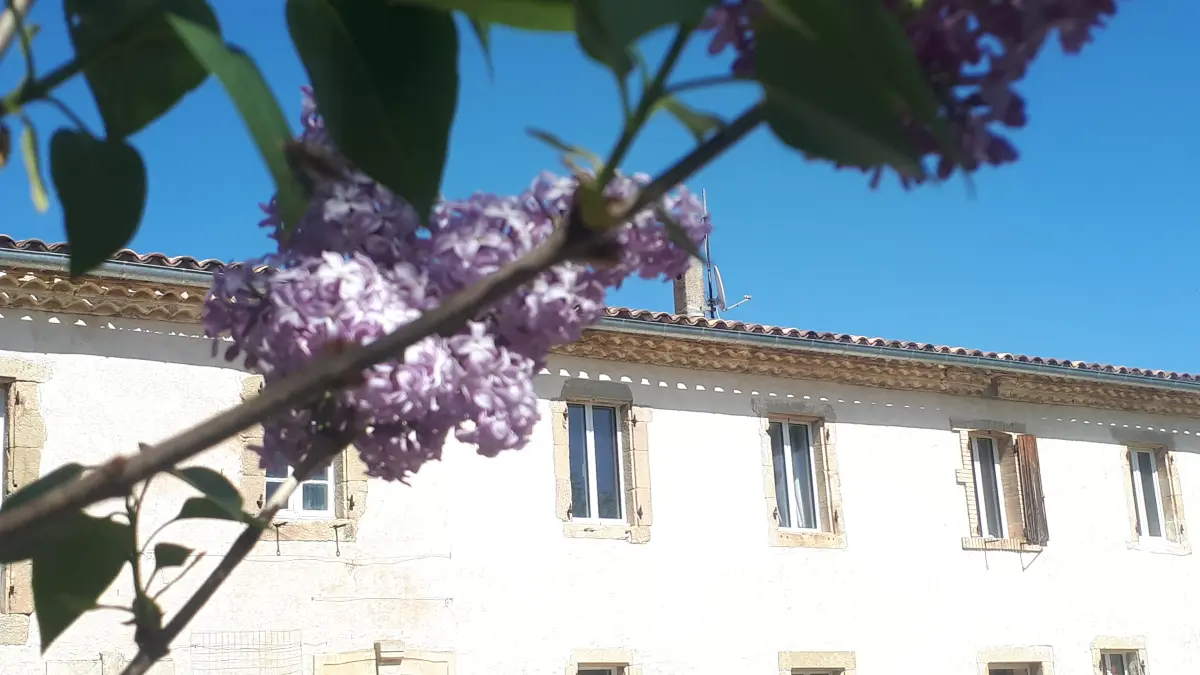 HLO - LIMOUX - CH Carliqui - façade lilas 2