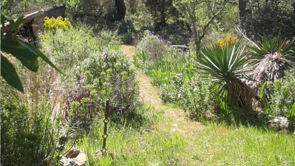 HLO - LIMOUX - CH Carliqui - jardin 2