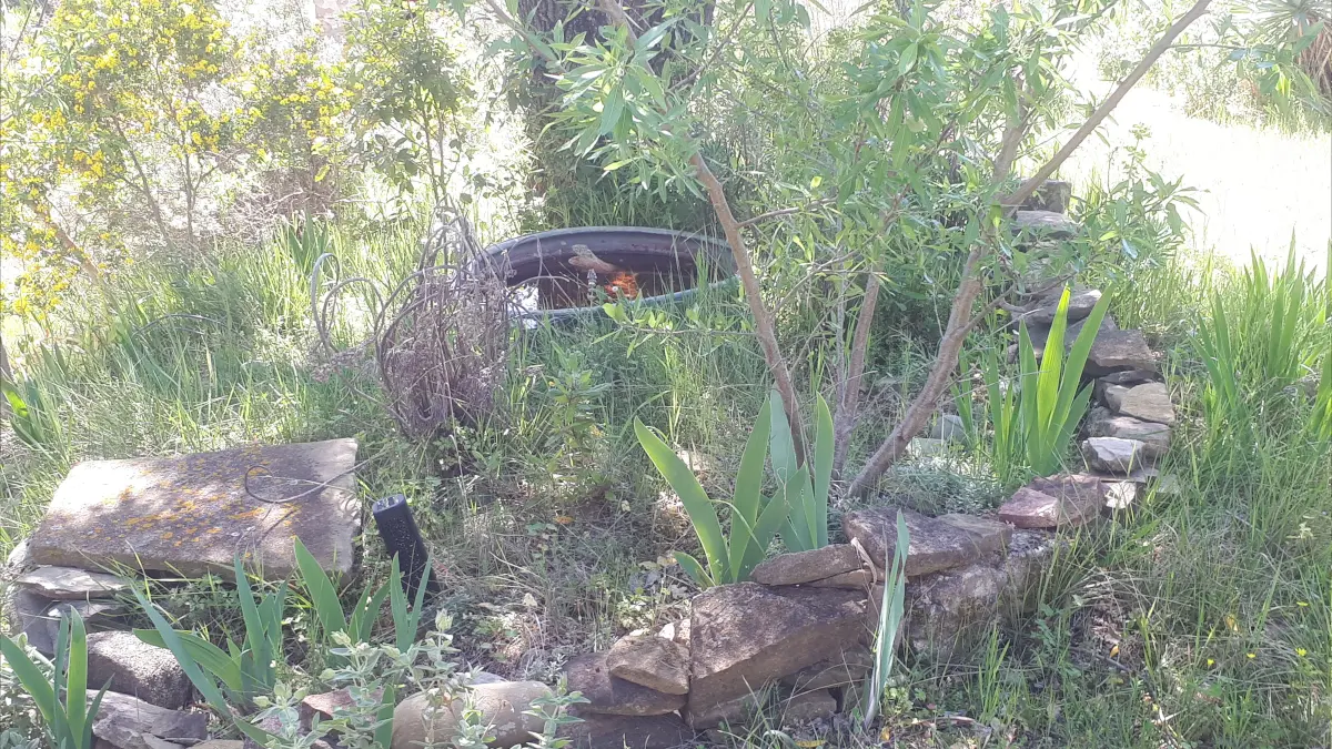 HLO - LIMOUX - CH Carliqui - jardin bassine