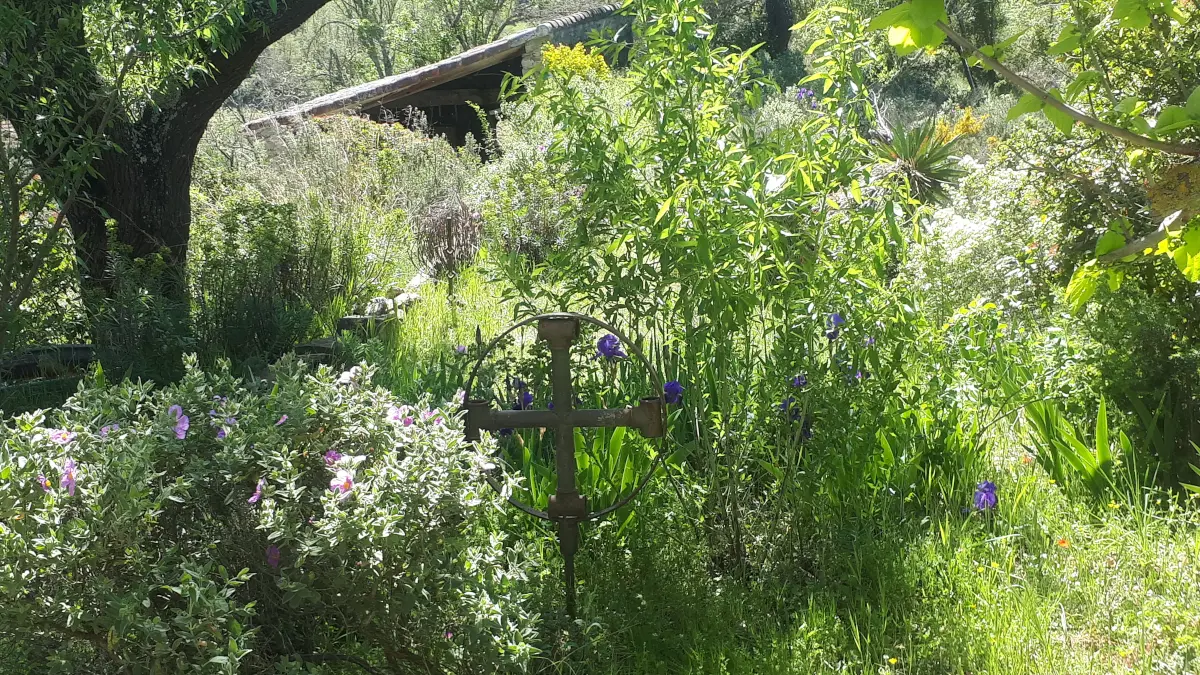 HLO - LIMOUX - CH Carliqui - jardin croix
