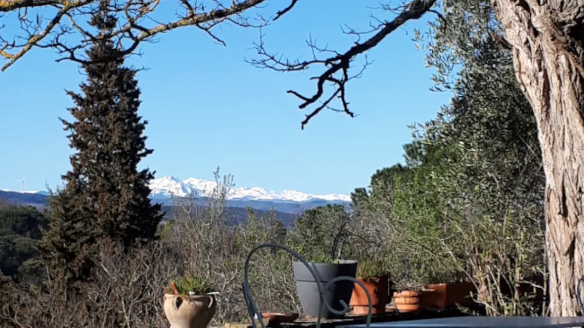 HLO - LIMOUX - CH Carliqui - vue terrasse