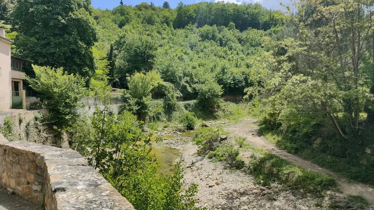 HLO - RLB - VAULTIER La douce reine (4)